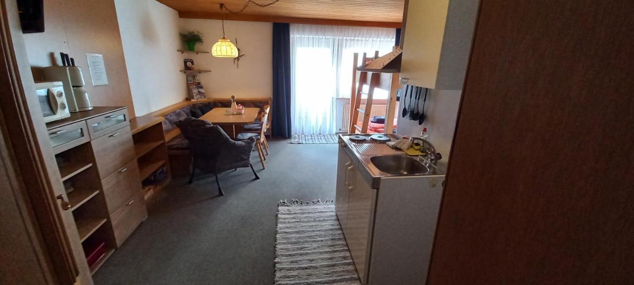 Studio Hochzillertal Mit Sauna & E-Ladestation Ried im Zillertal Exterior foto