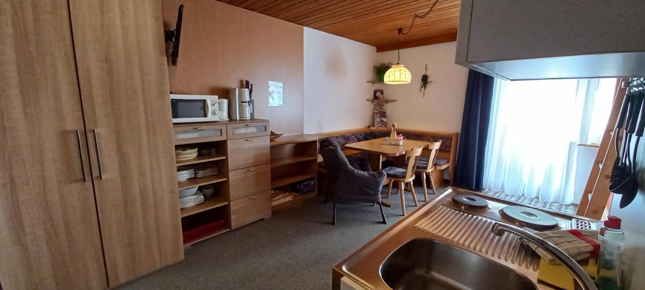 Studio Hochzillertal Mit Sauna & E-Ladestation Ried im Zillertal Exterior foto